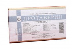 Дротаверин р-р д/ин. 20 мг/мл 2 мл 10 шт.